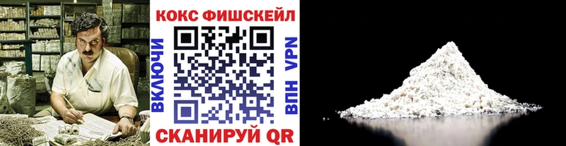 MEGA tor  наркота  Куртамыш  COCAIN Fish Scale 