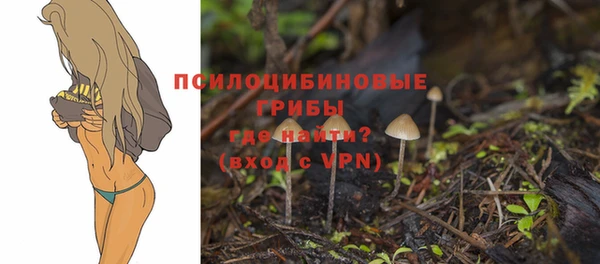 молекула духа Балахна