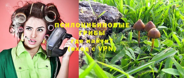 молекула духа Балахна