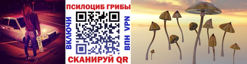хочу наркоту  ссылка на мегу как зайти  Галлюциногенные грибы мухоморы  Куртамыш 