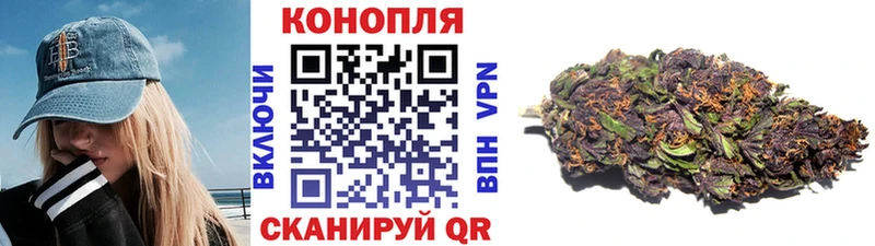 магазин продажи наркотиков  Куртамыш  Каннабис VHQ 